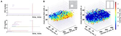 From Topological Analyses to Functional Modeling: The Case of Hippocampus